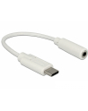 Adapter USB-C - 3.5 mm miniJack DELOCK 65913 - nr 1