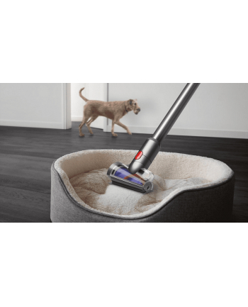 Dyson V15 Detect Absolute złoty E