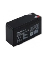 qoltec Akumulator AGM | 12V | 10Ah | Bezobsługowy | do UPS - nr 6