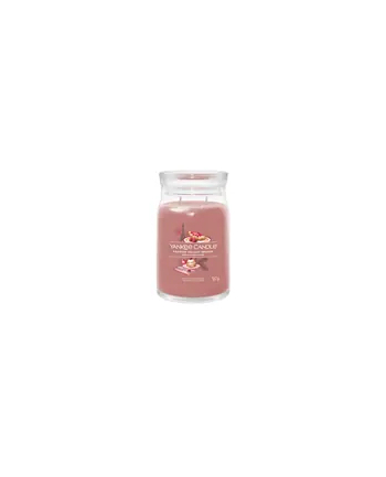 Yankee Candle Signature Parisian Holiday Brunch Świeca Duża 567g