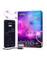 twinkly Inteligentne lampki dekoracyjne Strings USB-C (Candies) 100 LED RGB, serca, przezroczysty przewód, 6 m - nr 1