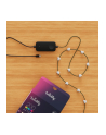 twinkly Inteligentne lampki dekoracyjne Strings USB-C (Candies) 100 LED RGB, serca, przezroczysty przewód, 6 m - nr 4