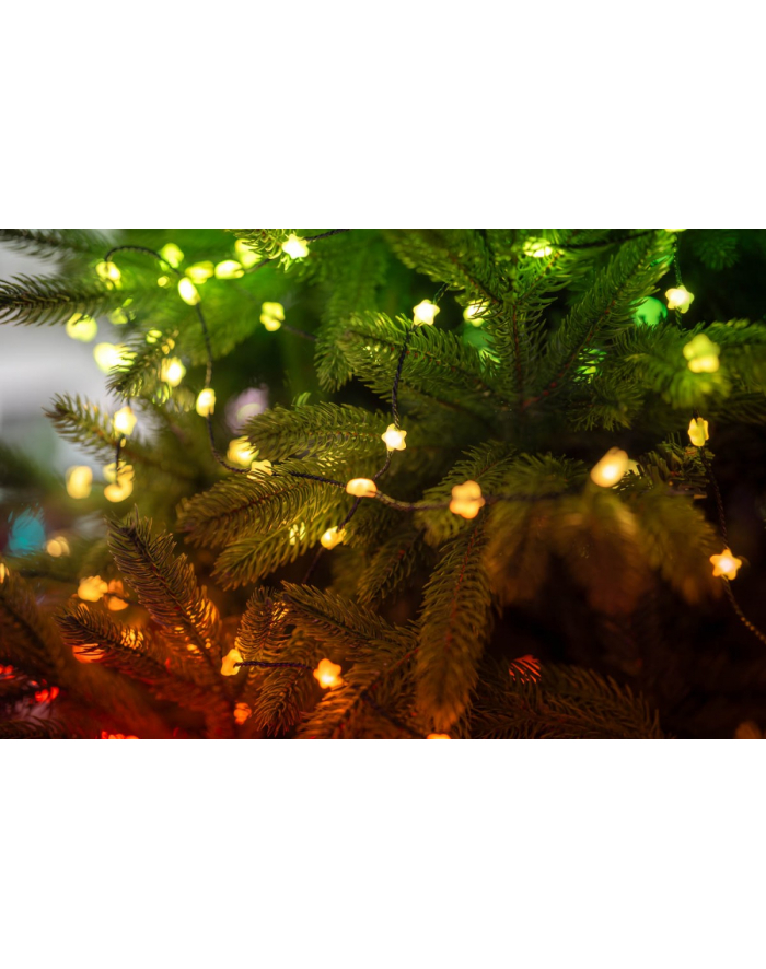 twinkly Inteligentne lampki dekoracyjne Strings USB-C (Candies) 200 LED RGB, gwiazdy, zielony przewód, 12 m główny