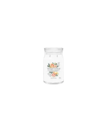 Yankee Candle Signature White Spruce ' Grapefruit Świeca Duża 567g
