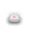 motorola Słuchawki BT Moto buds Wireless Earbuds, Coral Peach - nr 16