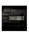ADATA LEGEND 850 LITE 1 TB, SSD (dark grey/gold, PCIe 4.0 x4, NVMe 1.4, M.2 2280) - nr 23