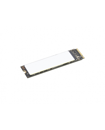 Lenovo Dysk SSD HDD 2TB Performance M.2 2280 SSD
