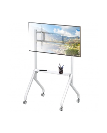 techly Stojak mobilny TV 56-100 cali do 100kg regulowany półka AV