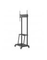 techly Stojak mobilny  32-70 cali 70kg z półką AV Pivot - nr 11