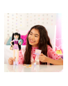 mattel Barbie lalka Dream Besties Renee HYC24 /4 - nr 6