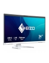 Eizo 34'' EV3450XC-WT (EV3450XCWT) - nr 26
