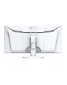 Eizo 34'' EV3450XC-WT (EV3450XCWT) - nr 30