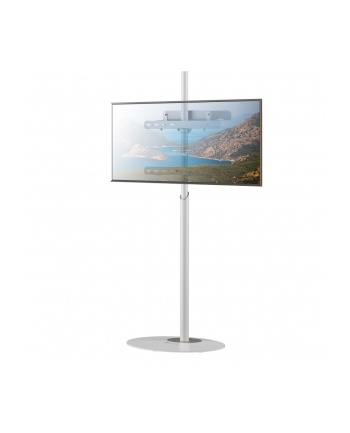 TECHLY Stojak podłogowy TV 32inch-65inch do 35 kg regulowany biały nr 2