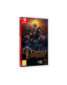 plaion Gra Nintendo Switch Darkest Dungeon 2 - nr 21