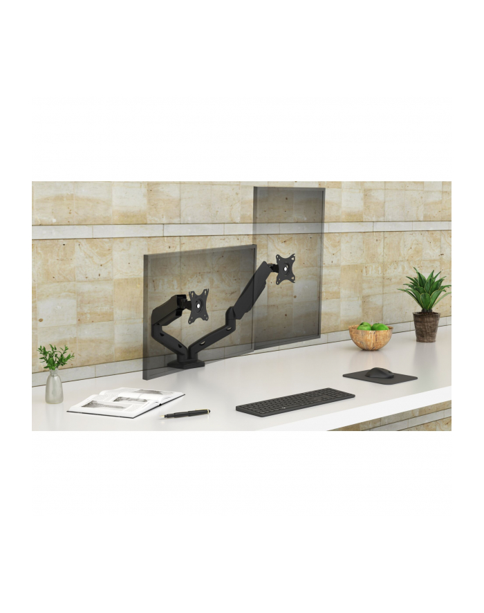 Raidsonic IB-MS204-T Monitorarm dla zwei Monitore główny