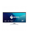 Eizo 34'' EV3450XC-WT (EV3450XCWT) - nr 50