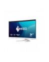 Eizo 34'' EV3450XC-WT (EV3450XCWT) - nr 51