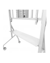 neomounts Stojak MOVE Go XL Mobile Floor Stand (fast install, height adj) - nr 30