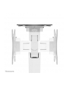 neomounts Ramię NEXT Slim Desk Mount, double display (topfix clamp/grommet) - nr 41