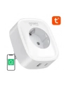 Gosund SP6 16A USB-C 20W Tuya - nr 6