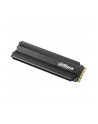 SSD PCIE G3 M2 NVME 256GB/SSD-C900VN256G-B DAHUA - nr 1