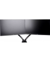 IIYAMA DS3002C-B1 ACC Flexible desk mount for dual monitor 10i-27i height adj. gas spring size VESA 75x75/100x100 1-5kg (P) - nr 12