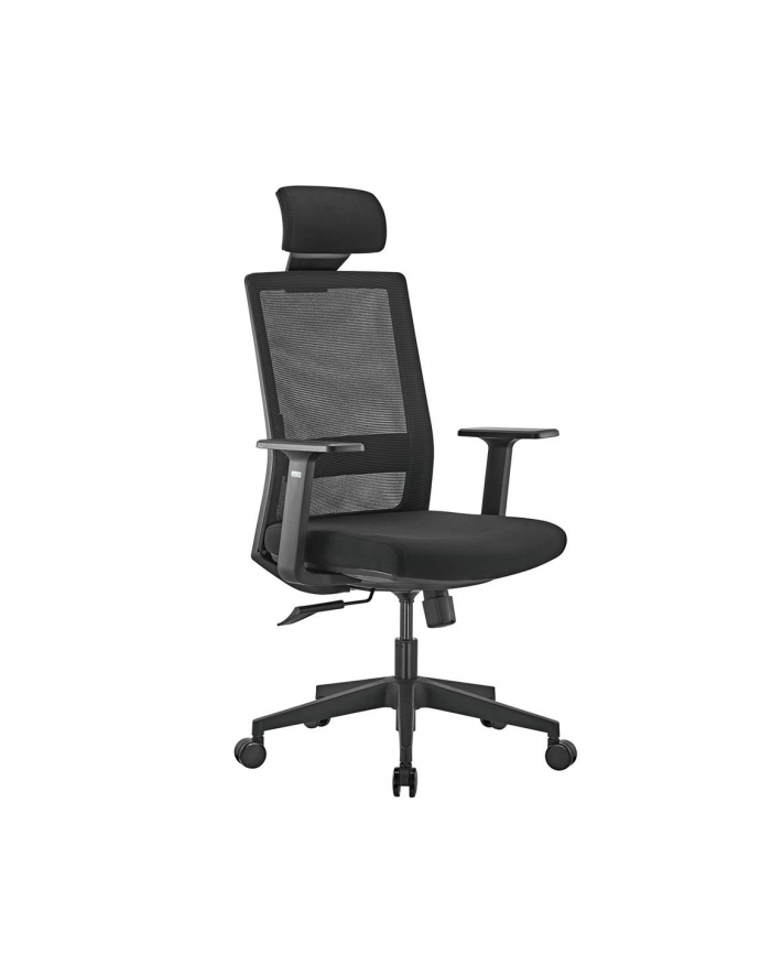 Fotel biurowy Ergo Office ER-425 ergonomiczny premium z wysokim oparciem max 150kg główny