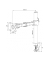 IIYAMA DS1001C-B1 Flexible desk mount for single monitor 10-30Zoll VESA 75x75/100x100mm 1-10kg (P) - nr 8