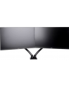 IIYAMA DS3002C-B1 ACC Flexible desk mount for dual monitor 10i-27i height adj. gas spring size VESA 75x75/100x100 1-5kg (P) - nr 6