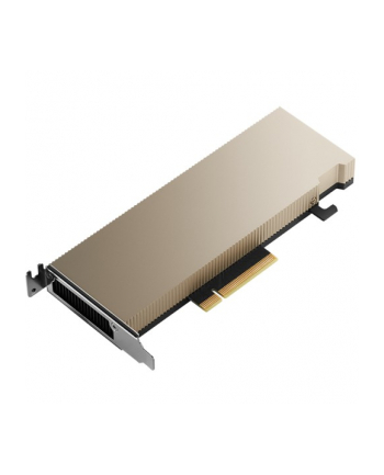 pny technologies Karta graficzna PNY NVIDIA A2 Module 16 GB GDDR6 ECC, PCIe 40 x16,  LP - ATX bracket, retail