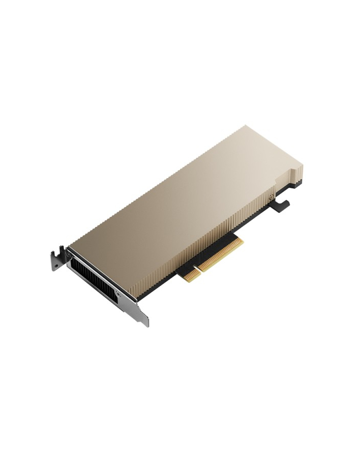 pny technologies Karta graficzna PNY NVIDIA A2 Module 16 GB GDDR6 ECC, PCIe 40 x16,  LP - ATX bracket, retail główny