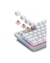 Glorious Fox Heavy Switche, mechaniczne, 5-pinowe, liniowe, MX-Stem, 55g - smarowane, 110 sztuk - nr 4