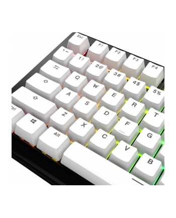 Glorious GPBT Basics, układ ANSI (USA), PBT, Dye-Sub - Klasyczny biały nr 2