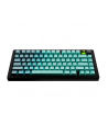 Glorious GPBT Gradient Keycaps, Układ ANSI (USA), PBT, Dye-Sub - Las deszczowyGlorious Gradientowe GPBT - Las deszczowy - USA - Sprzedaż detaliczna - nr 4