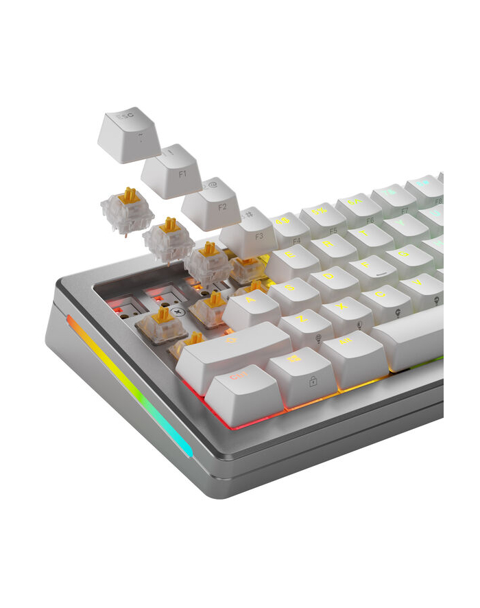 Glorious Panda Silent Switches, mechaniczne, 5-pinowe, dotykowe, MX-Stem, 50g - nasmarowane, 36 sztuk główny