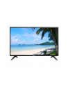 Monitor 32''; Dahua LM32-F200 FullHD VGA HDMI USB głośnik TFT LED - nr 7