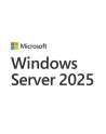 microsoft OEM Win CAL 2025 User PL  5Clt       EP2-25286 - nr 3