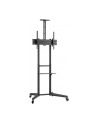Goobay Stand Tv Pro Cart L 37-70 Cali Do 50Kg - nr 7