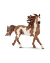 schleich SLH Pinto ogier 13794 12403 - nr 1