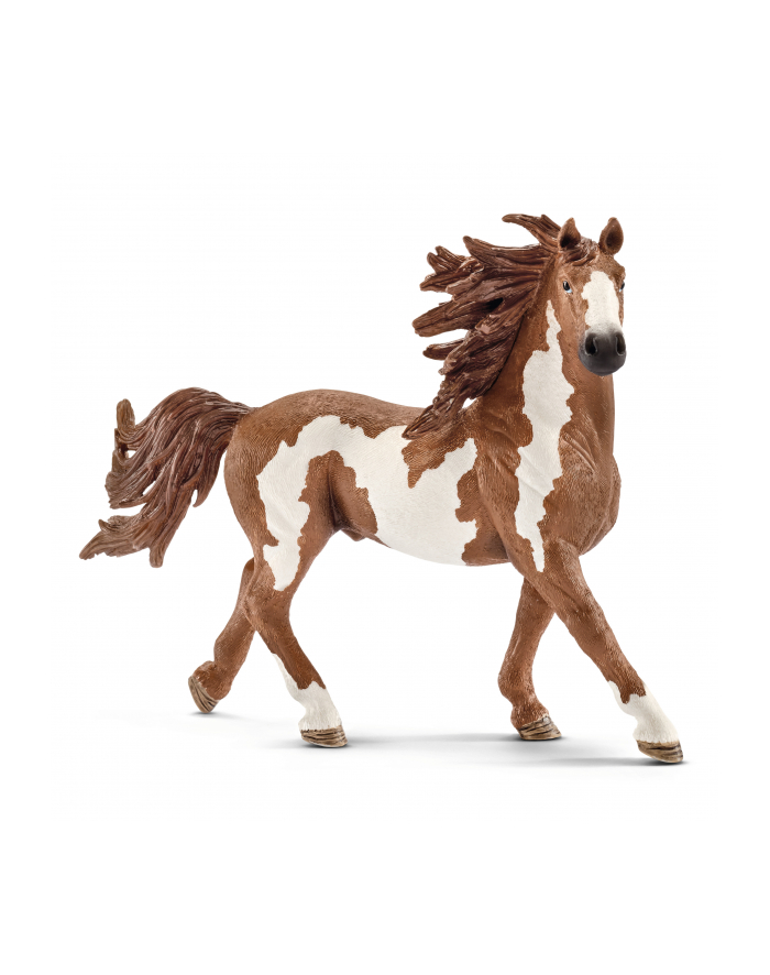 schleich SLH Pinto ogier 13794 12403 główny