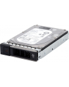 Axis - Hard Drive 8 Tb Enterprise Sata 6Gb/S Cache (2472001) - nr 1