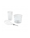 russell hobbs Blender ręczny Matte Charcoal  27141-56 - nr 10