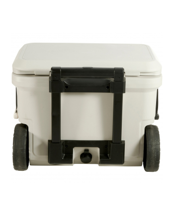 Coleman Pro 55qt Pudelko Chlodzace nr 2