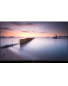 Panasonic TV-55W80AEZ czarny - nr 4