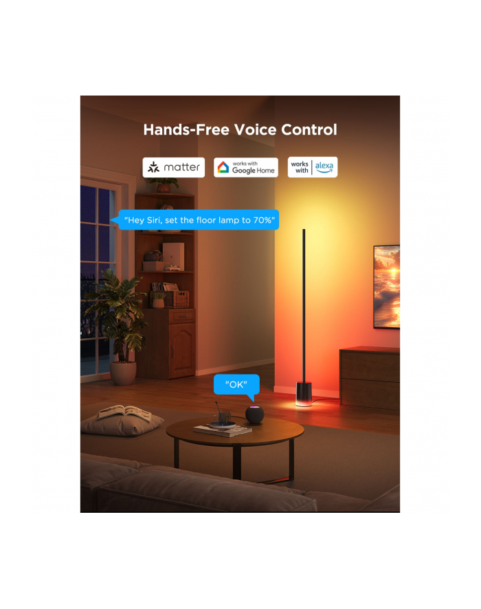 Govee Floor Lamp Matter ready główny