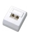 Adapter DATACOM UTP Cat.6 2x RJ45 45° (2455) - nr 3