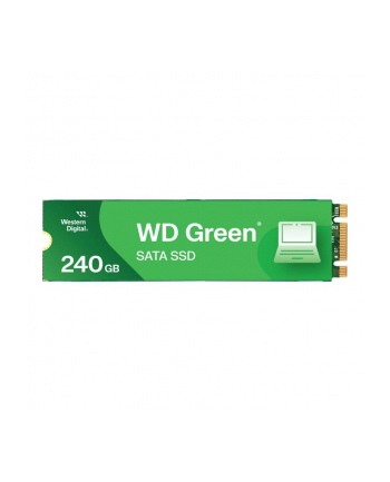 western digital SSD WD Green (M.2, 240GB, SATA 6Gb/s) nr 1