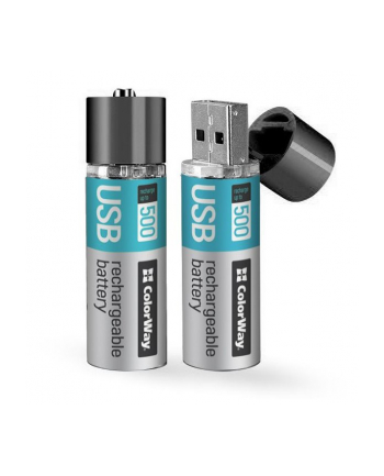 Akamulator AAA USB 1200 mAh 1.5V (2pcs.)
