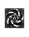 Arctic P8 Silent 5-pack (ACFAN00301A) - nr 1
