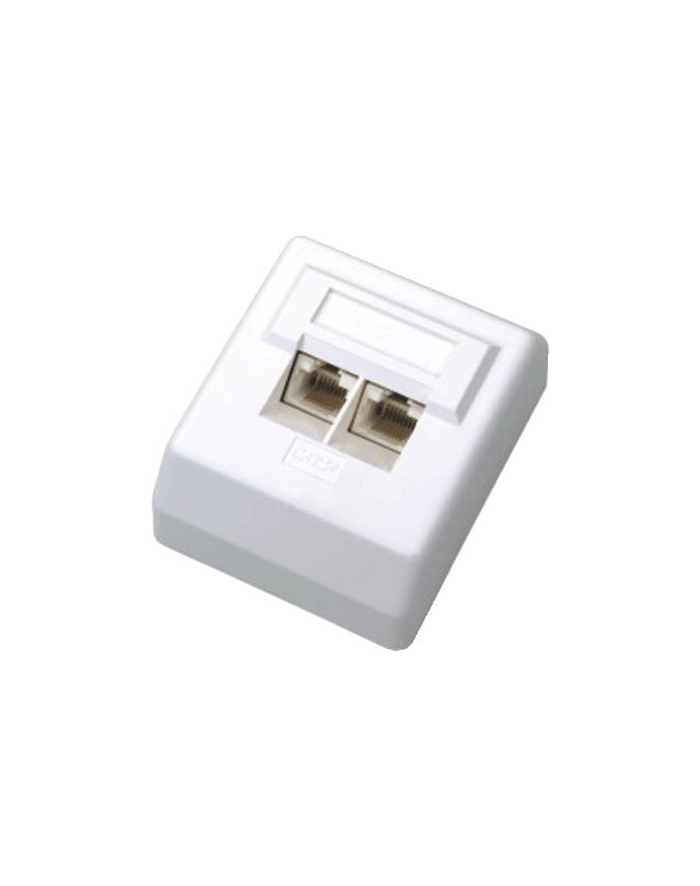 Adapter DATACOM UTP Cat.6 2x RJ45 45° (2455) główny